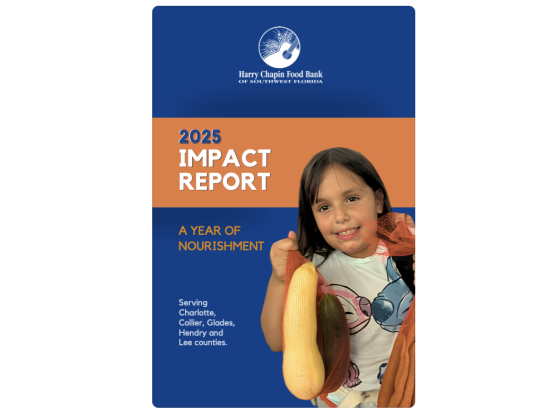 Impact Report Cover